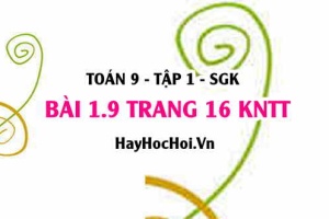 Bài 1.9 trang 16 Toán 9 tập 1 Kết nối tri thức SGK
